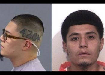 California parolee on ‘post-release supervision’ decapitates grandmother, flees with victim’s head, police say – Law Officer
